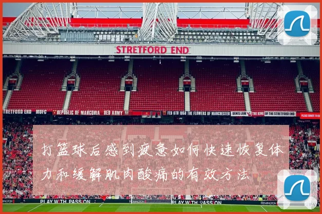 打篮球后感到疲惫如何快速恢复体力和缓解肌肉酸痛的有效方法