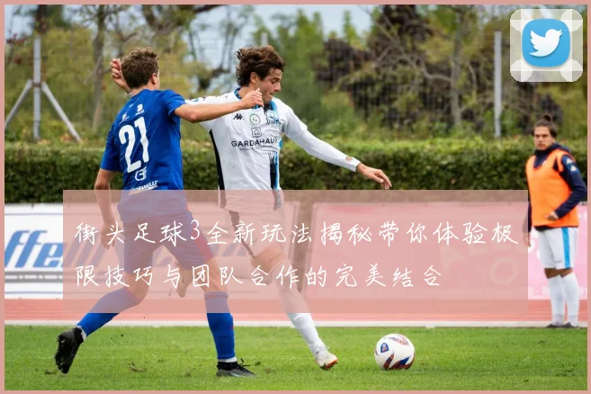 街头足球3全新玩法揭秘带你体验极限技巧与团队合作的完美结合