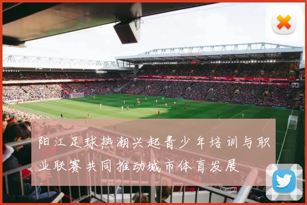 阳江足球热潮兴起青少年培训与职业联赛共同推动城市体育发展