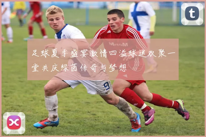 足球夏季盛宴激情四溢球迷欢聚一堂共庆绿茵传奇与梦想